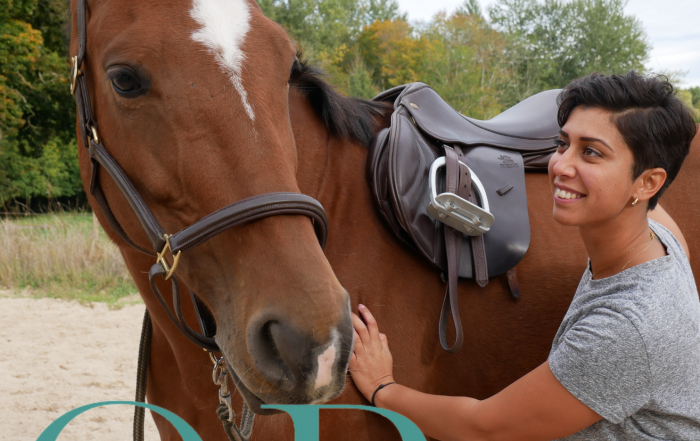 Saddle-fitting professionnel à Chartres avec cheval détendu