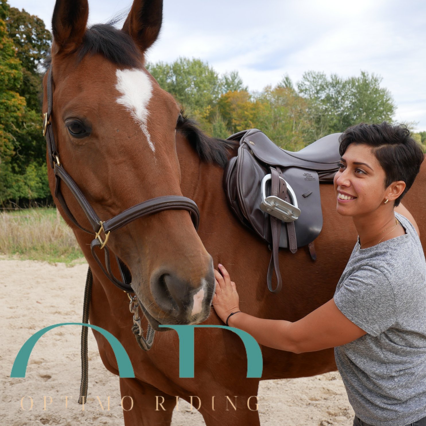 Saddle-fitting professionnel à Chartres avec cheval détendu