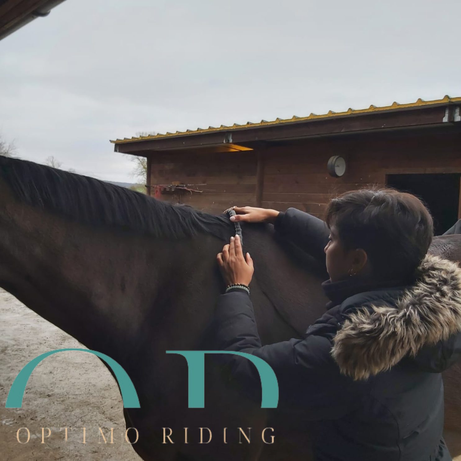 Analyse professionnelle de saddle-fitting à Versailles